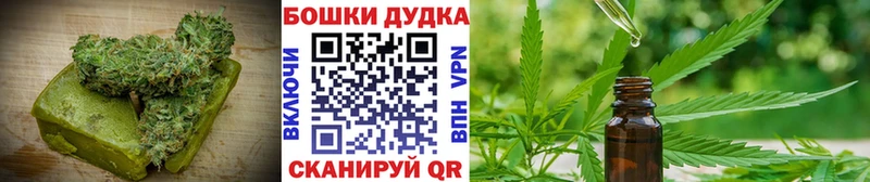 Canna-Cookies конопля  Купить где  Сурск 