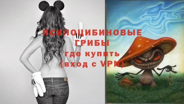 таблы Елизово
