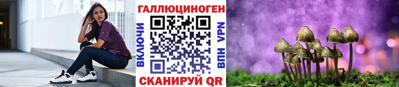 Галлюциногенные грибы Psilocybe  Купить закладки  Сурск 